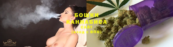 mix Богородицк