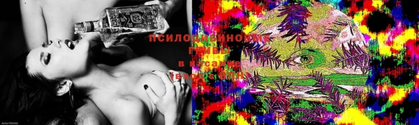2c-b Беломорск