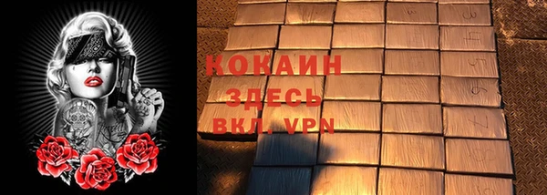 стаф Белокуриха