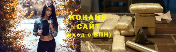 mix Богородицк