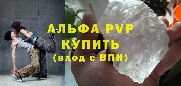 стаф Белокуриха