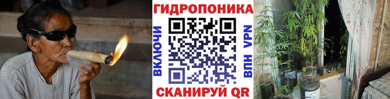 OMG как зайти  Краснозаводск  Бошки марихуана марихуана 